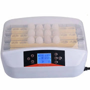 AI-32s automatic digital egg incubator, 32 eggs
