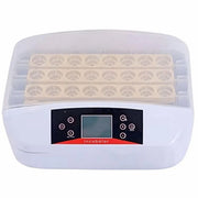 AI-32s automatic digital egg incubator, 32 eggs