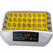 AI-32s automatic digital egg incubator, 32 eggs