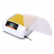 AI-56A automatic egg incubator, 56 eggs, dual power