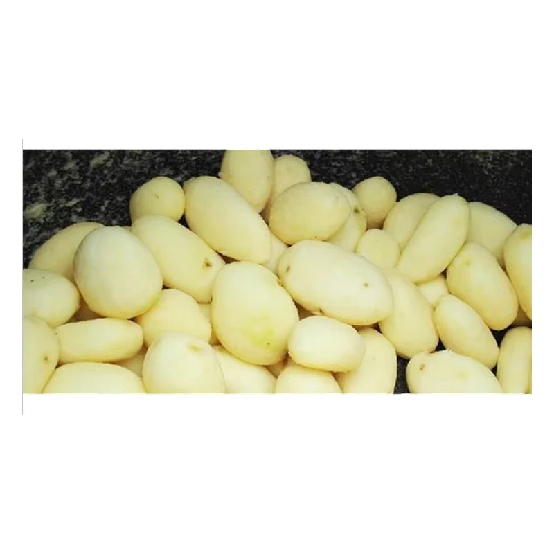 Potato Peeler — Commercial Grade
