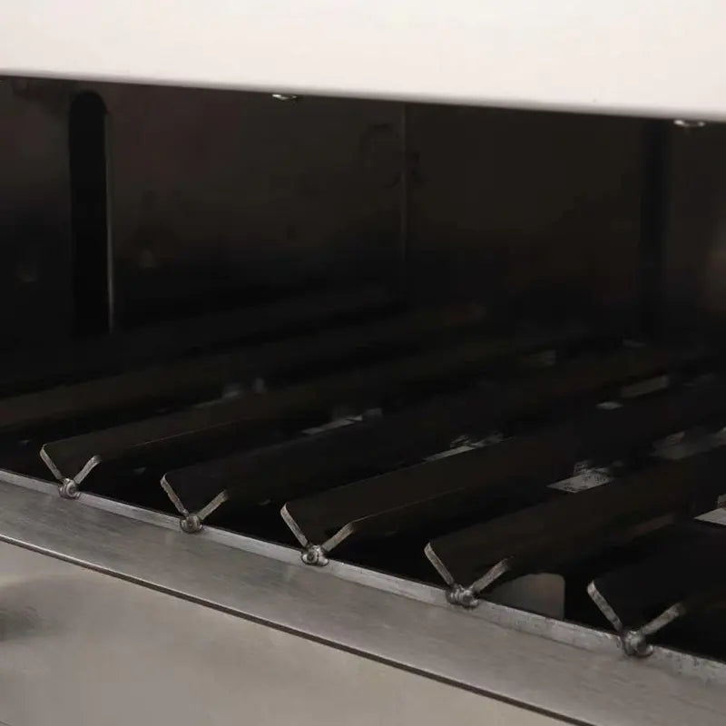 Contact Grill Commercial Stainless Steel Natural Gas LPG SG-3G