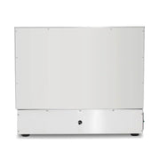 GZL-20 twin-tank commercial gas deep fryer, stainless steel