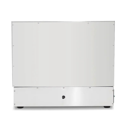 GZL-20 twin-tank commercial gas deep fryer, stainless steel