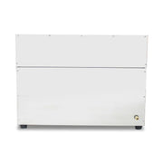 GZL-50 twin-tank commercial gas deep fryer, stainless steel